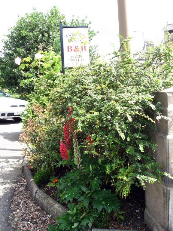 Ashley House Bed and Breakfast Dundee Exteriör bild