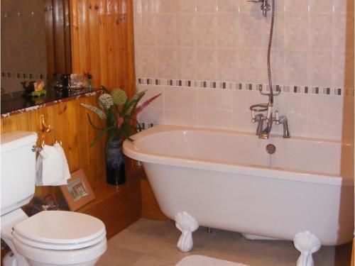 Ashley House Bed and Breakfast Dundee Exteriör bild
